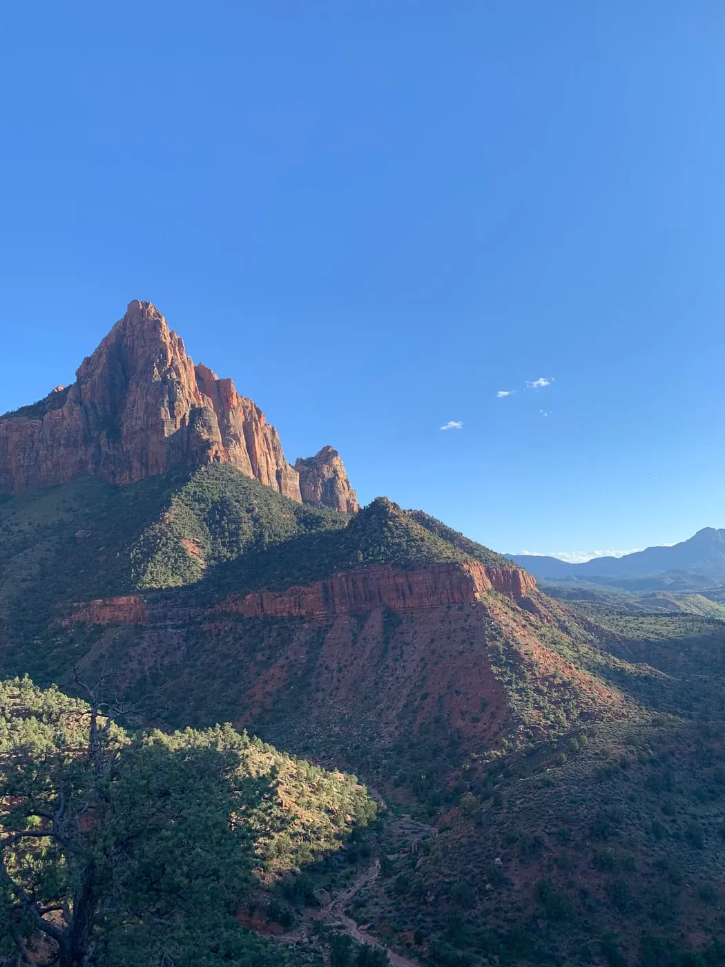 The Watchman rising over the canyon in Zion National Park
